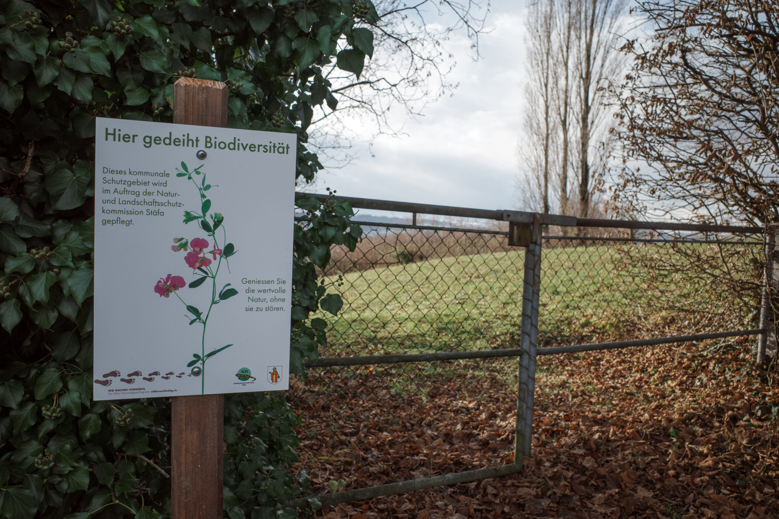Informationstafel der Gemeinde Stäfa beim Naturschutzgebiet Lattenberg