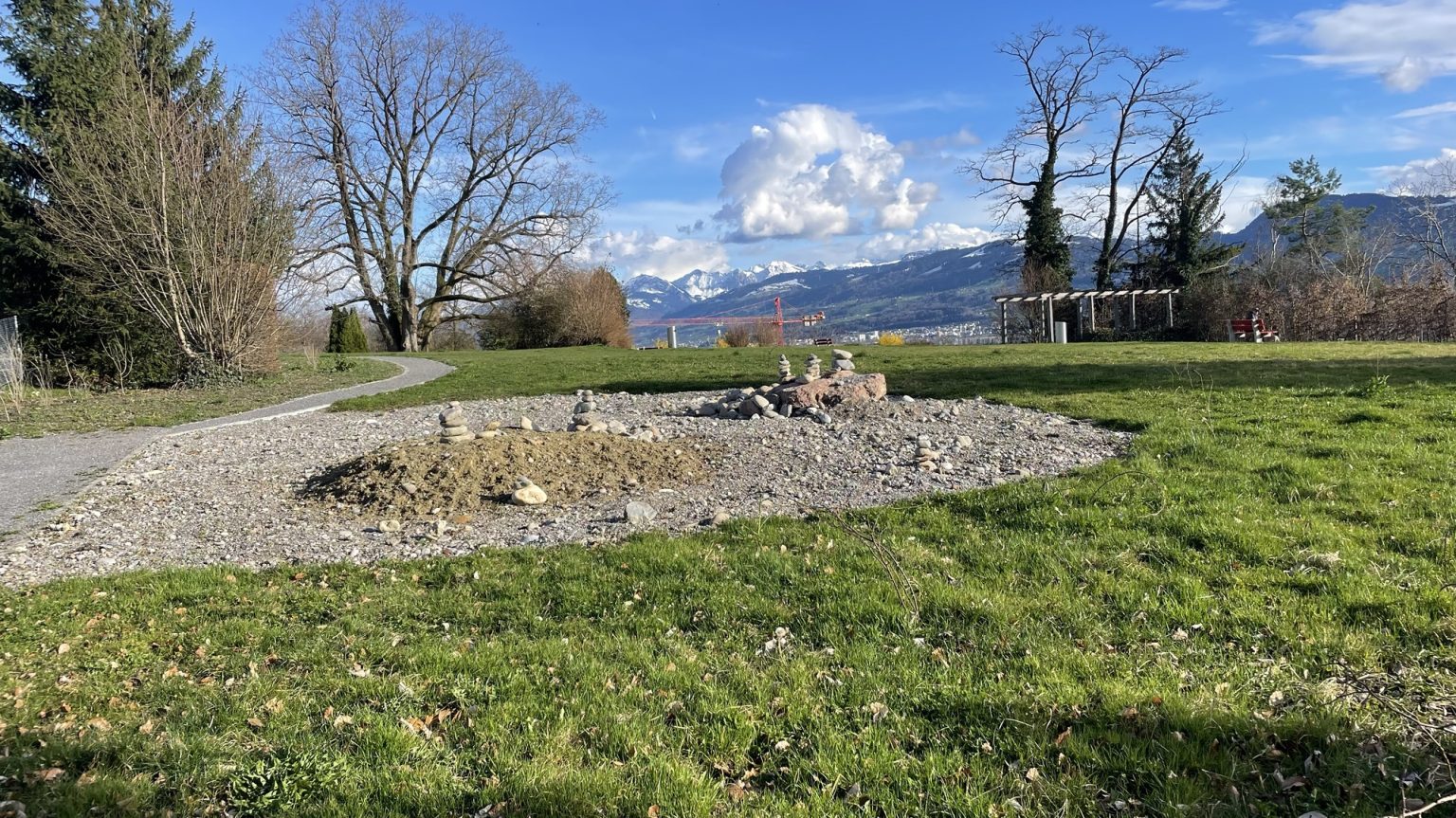 Ruderalfläche auf dem Sunneplatz